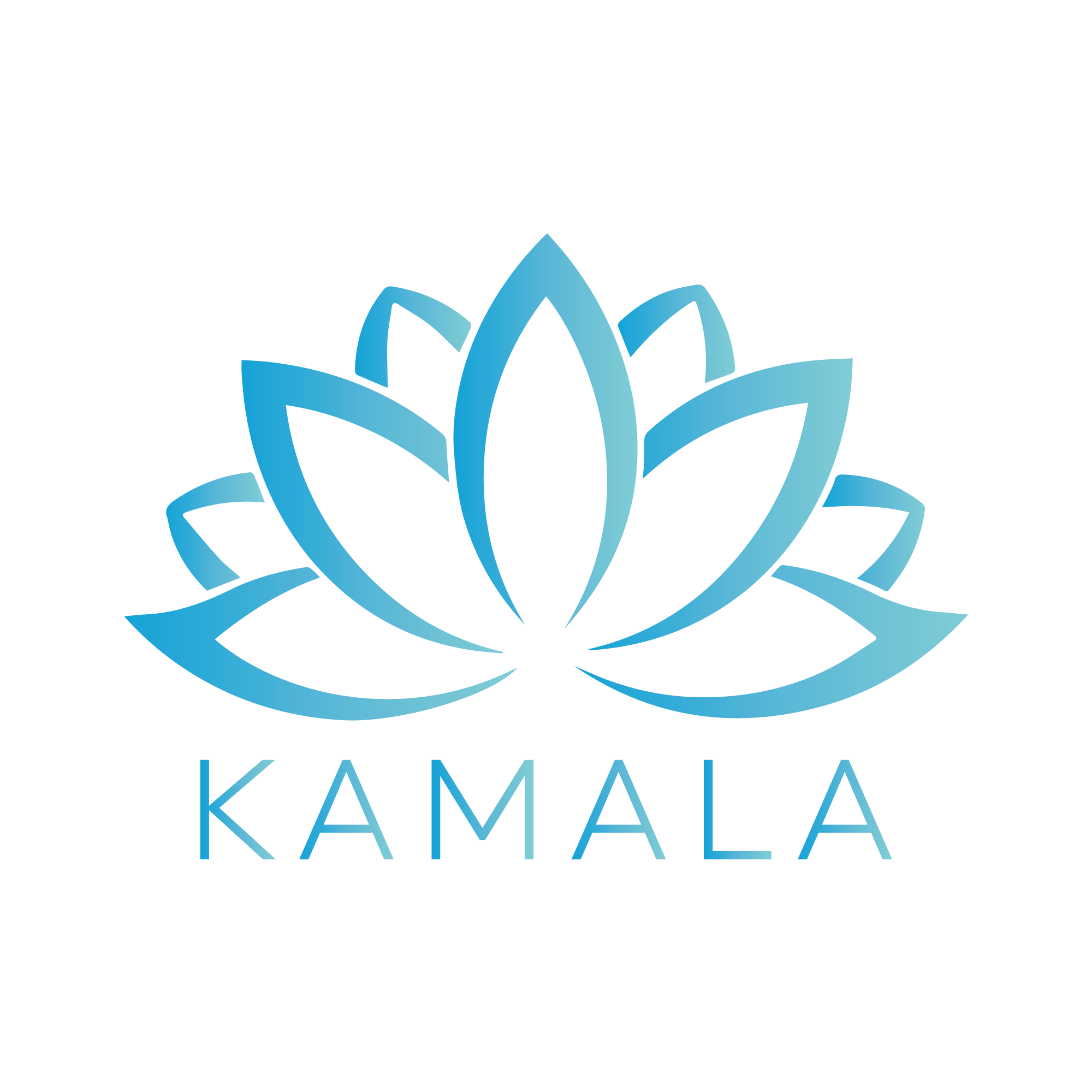 Renk Korumas Kamalashops renk-korumas-kamalashops